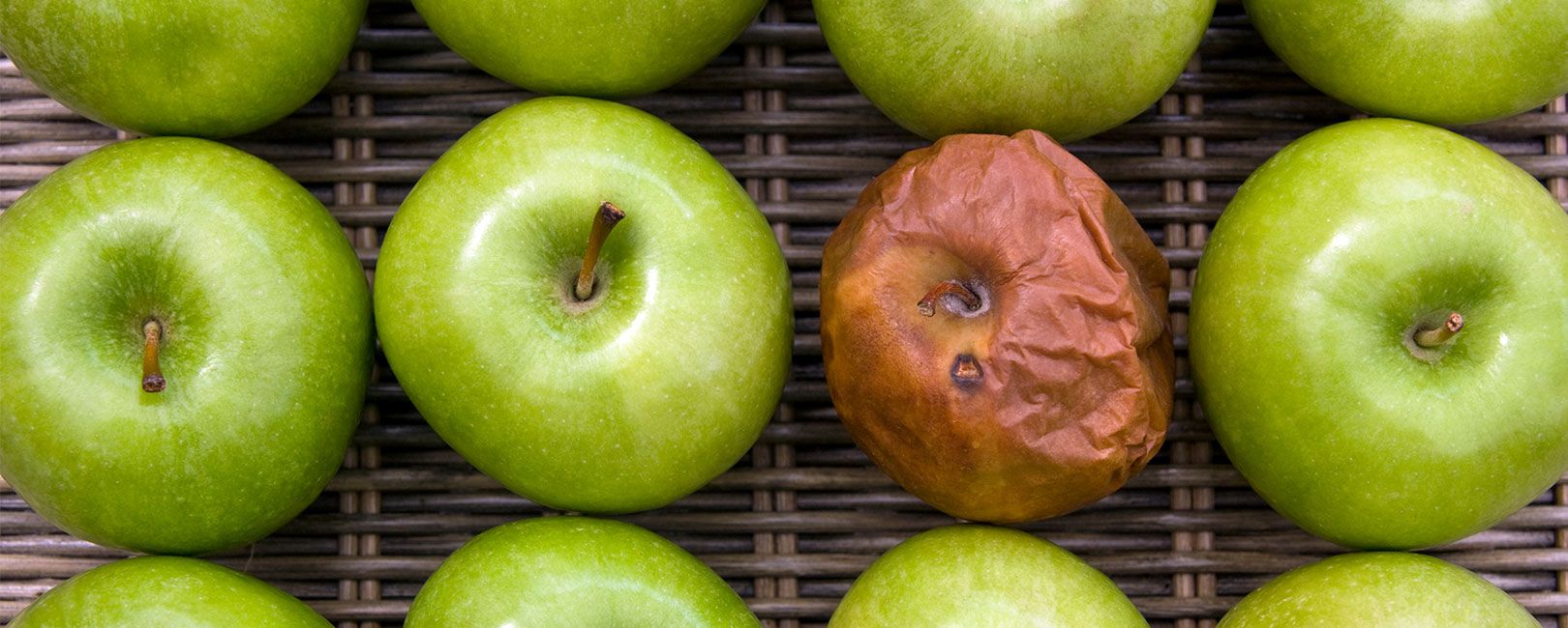 Keeper Test e Culture Rot: o que realmente sustenta (ou corrói) a cultura das empresas