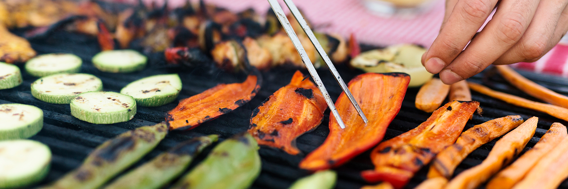 Saiba mais sobre Vegetarianismo