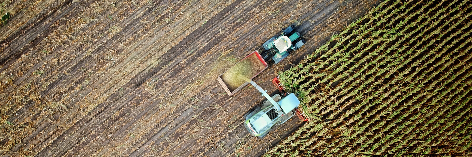 Seguro rural é investimento fundamental para o futuro do agro