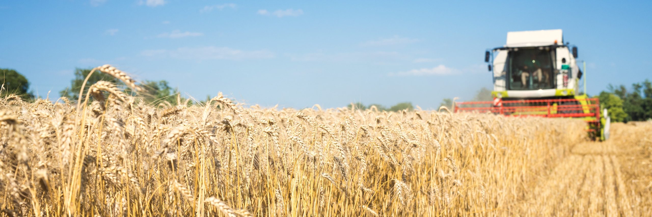 Seguro de Máquinas Agrícolas: Gestão de Riscos na Propriedade Rural