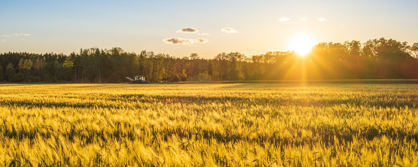 Do campo ao boardroom: risco climático no agro é tema corporativo