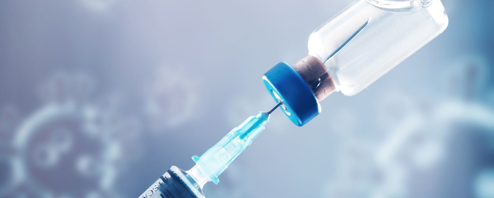 Dose única contra a dengue: Butantan recebe aprovação da Anvisa