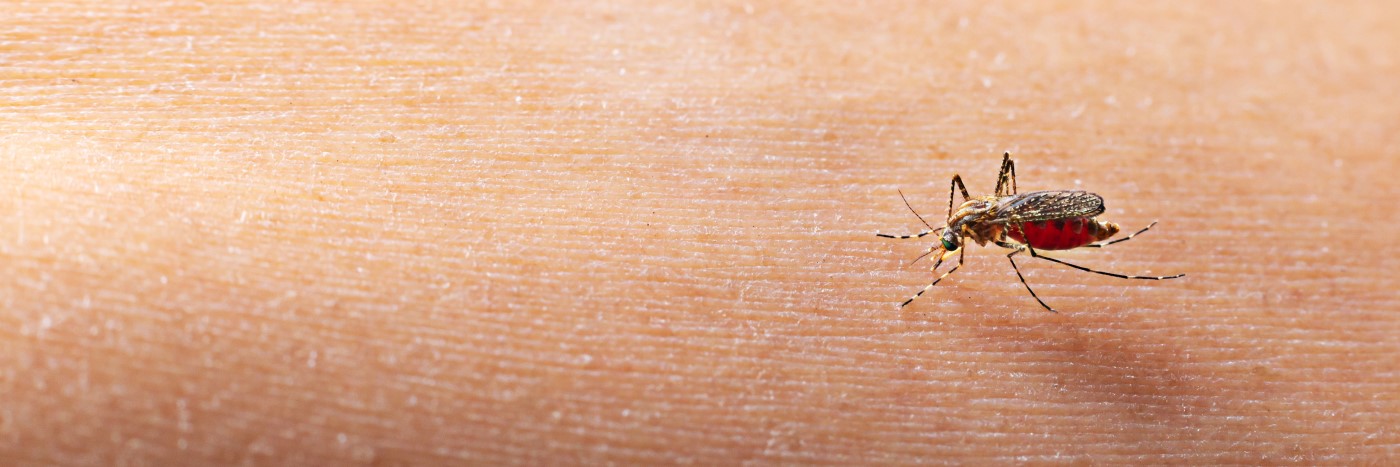 Combate ao mosquito da dengue é reforçado em várias partes do Brasil
