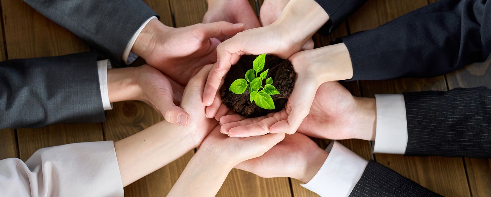 Brasileiros colocam MBA em Gestão de Pessoas entre os mais desejados