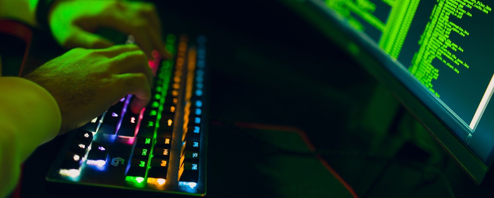 Plugins de formulário podem vazar dados? Entenda o caso Ninja Forms e os riscos para empresas