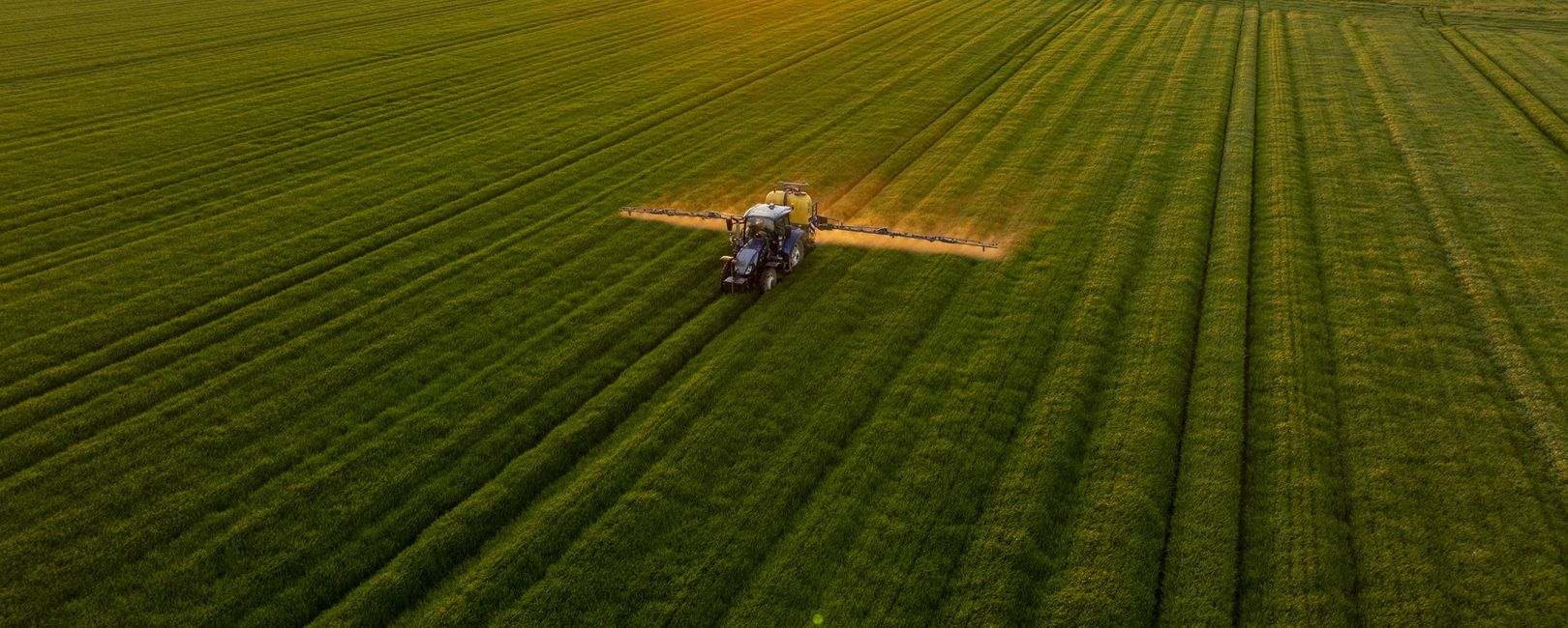 Inadimplência rural em alta reforça a importância de uma gestão de riscos estratégica