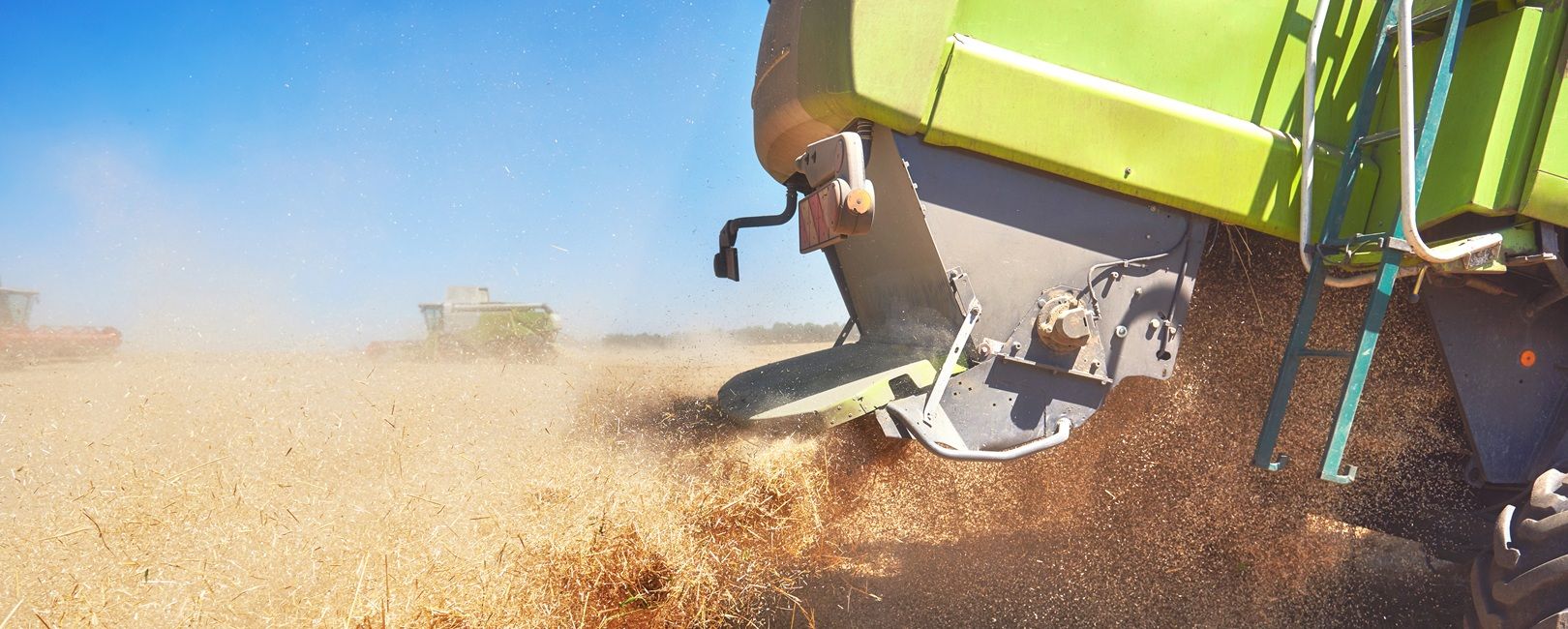 Reforma tributária pode reduzir incentivos fiscais e elevar custos do agronegócio