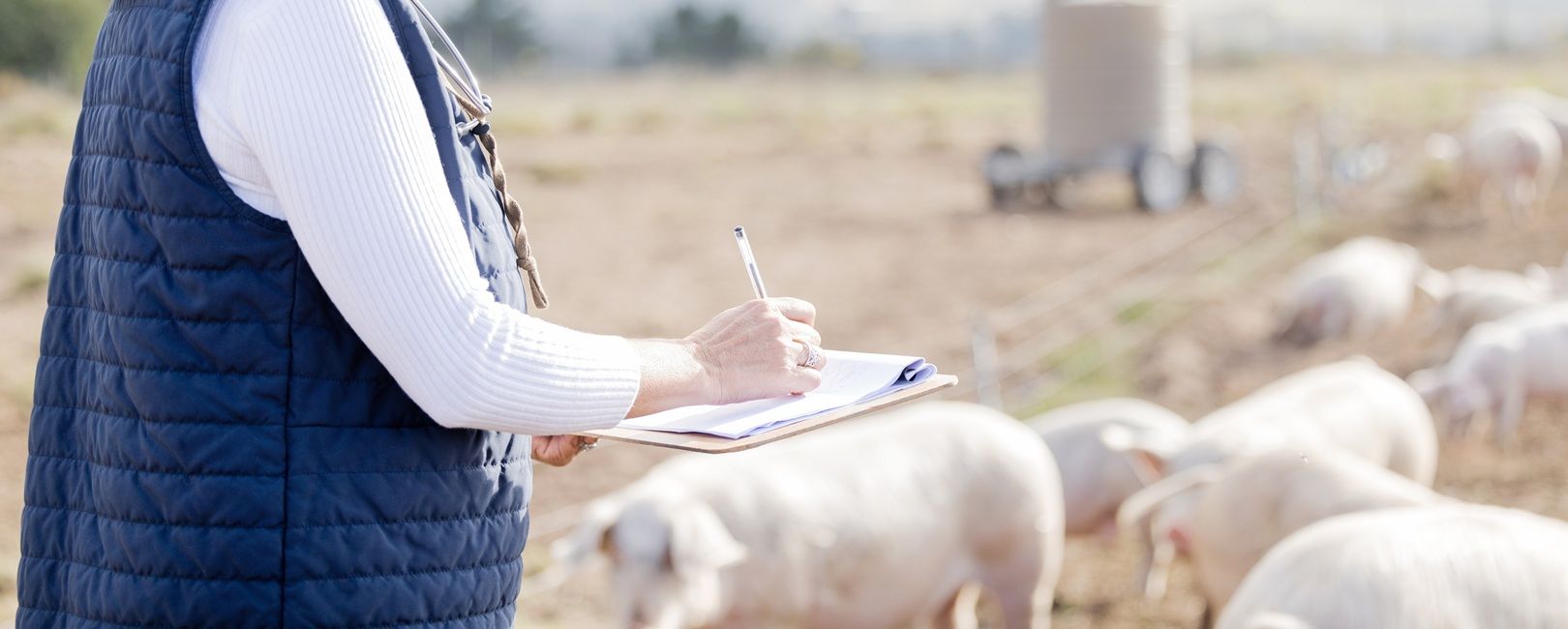 Produtor rural precisa ter CNPJ? Entenda o que prevê a LC 214/2025