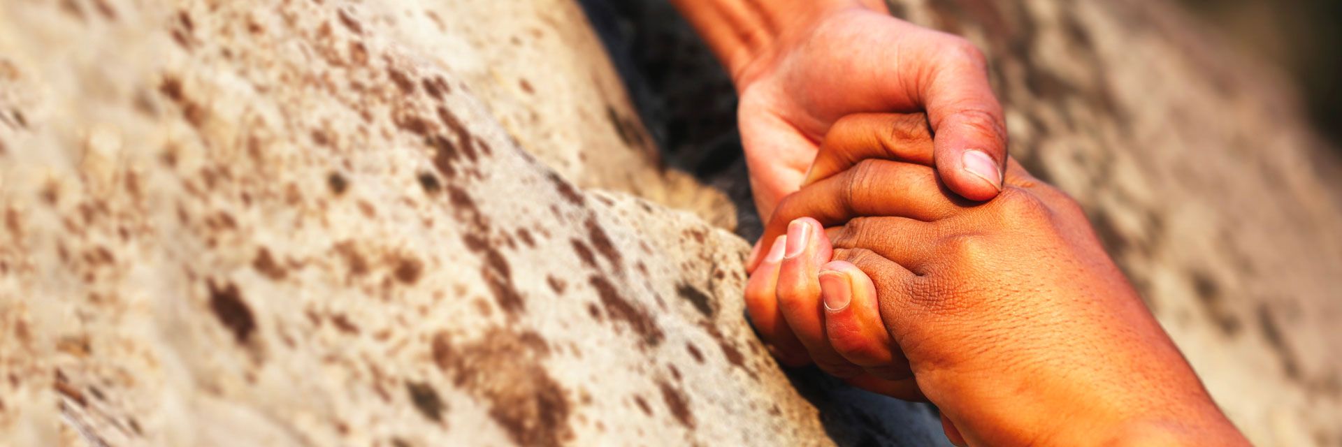 27 de setembro – Dia Nacional da Doação de Órgãos