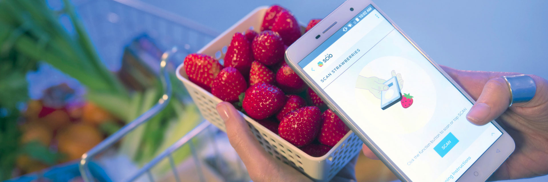 Na dúvida entre qual fruta é mais saudável? Seu smartphone pode ajudar