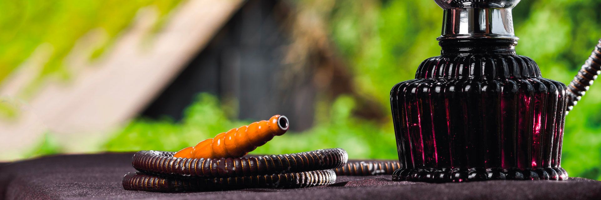 Dia Nacional de Combate ao Fumo: os perigos do narguilé