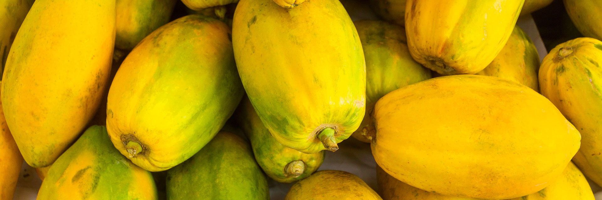 Boas práticas para a pós-colheita de Frutas e Hortaliças